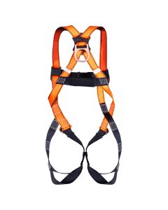 3-Point Adjustable Safety Harness